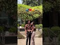 couple 💗 Love Status Video #shorts #shortvideo #ytshorts #shortsfeed #love #video #statusvideo #gana