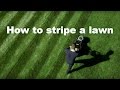 How to stripe a lawn