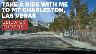 Leica Q3 Sample Photos: Mt Charleston Nevada Mountain Photography screenshot 2