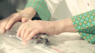 Dr. Yasemin Bradleyden Masum Bir Tatlı Tarifi: Çokodondurma