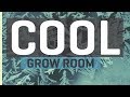 Cool Basement Grow Room Upgrades — New LED Grow Lights