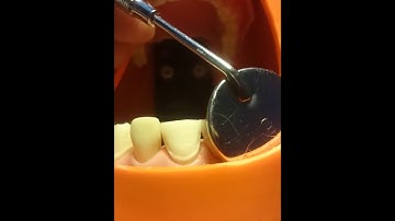 ORE 2 MANIKIN COURSE BIRMINGHAM