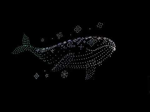 Drone Music Show with 1000 Drones | Ulsan Taehwagang Park, South Korea