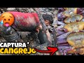 🥵 CÓMO sacar cangrejo de manglar una AVENTURA extrema | punches , cangrejo de raíz