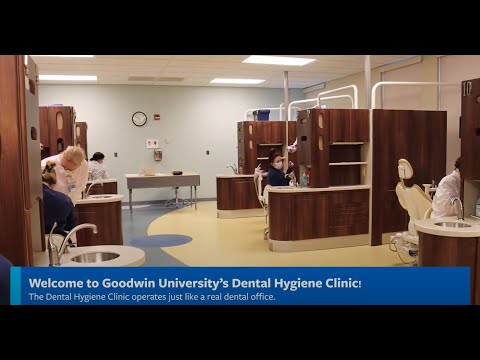 Discover What Goes on in Our Dental Hygiene Classes at Goodwin University!