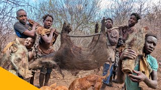 Hadzabe Tribe - Bush Pig Hunt Successful