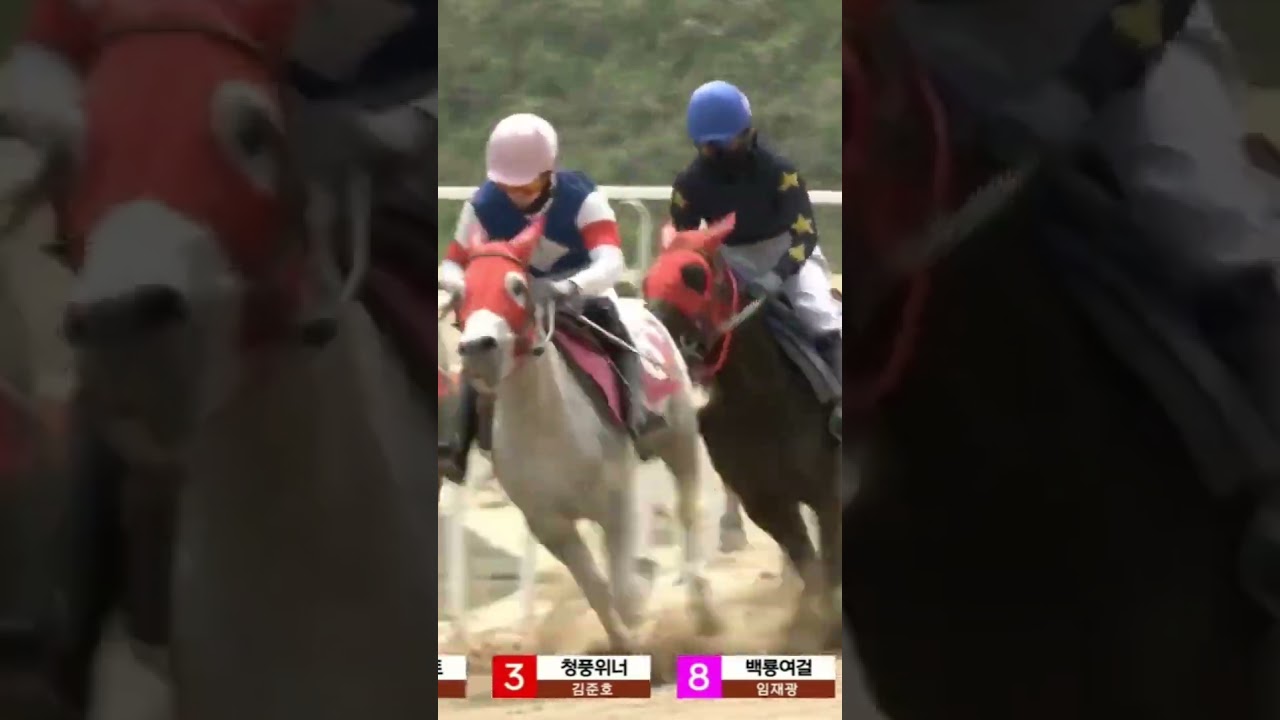 43배적중두방으로  좋왔다말았네 복연으로찍혔네256배 아