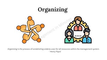 Organizing | Functions of Management | Features, Importance & Steps | MBA, BBA, Commerce