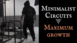 Calisthenics Circuits for Rapid Fat Loss and Muscle!