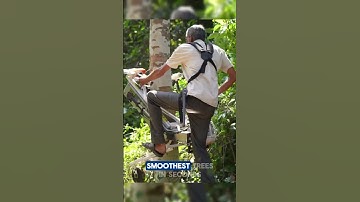 Climb Trees Easily With This Machine