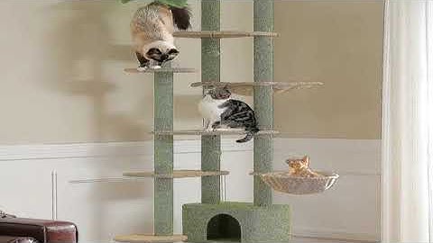 Cactus Cat Tree Floor to Ceiling Cat Tower Adjustable Height with Cat Condo Cozy Hammock and Sc