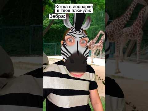 Видео: Къде е зоопарк в Buttonwood Park?