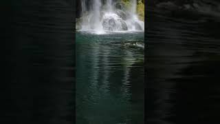 1790 1020808 mp3