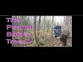 Trail Cam Adventures - The Peanut Butter Tree II