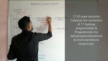 Biosynthesis of Streroid hormones #endocrinology #mdu #mducee #biochemistry