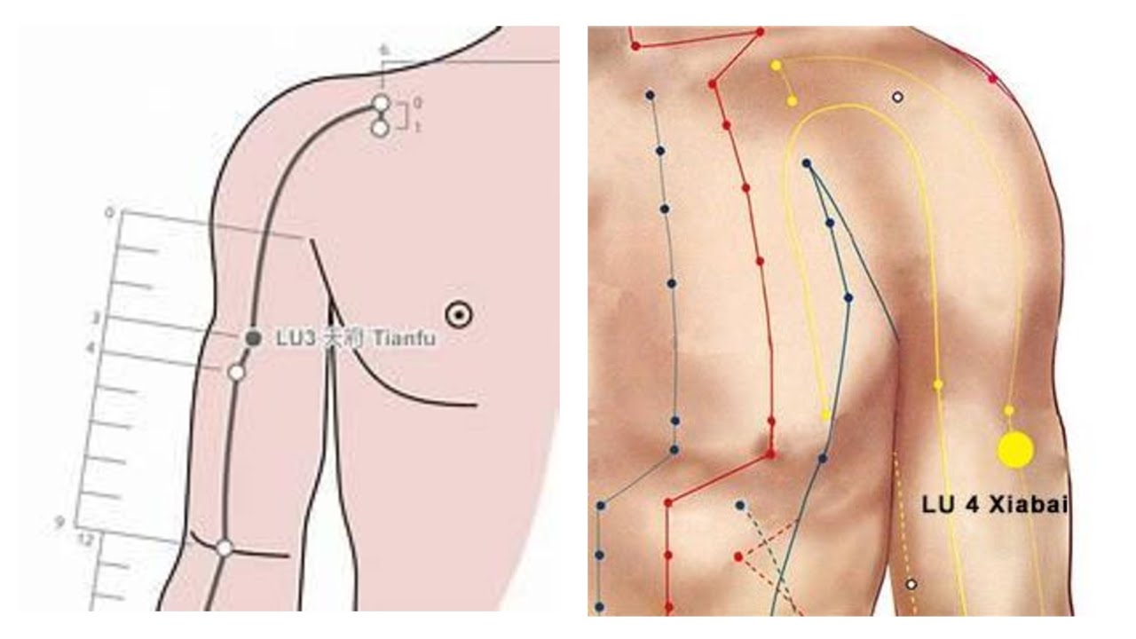 LUNG CHANNEL POINTS LU1, LU2, LU3, LU4
