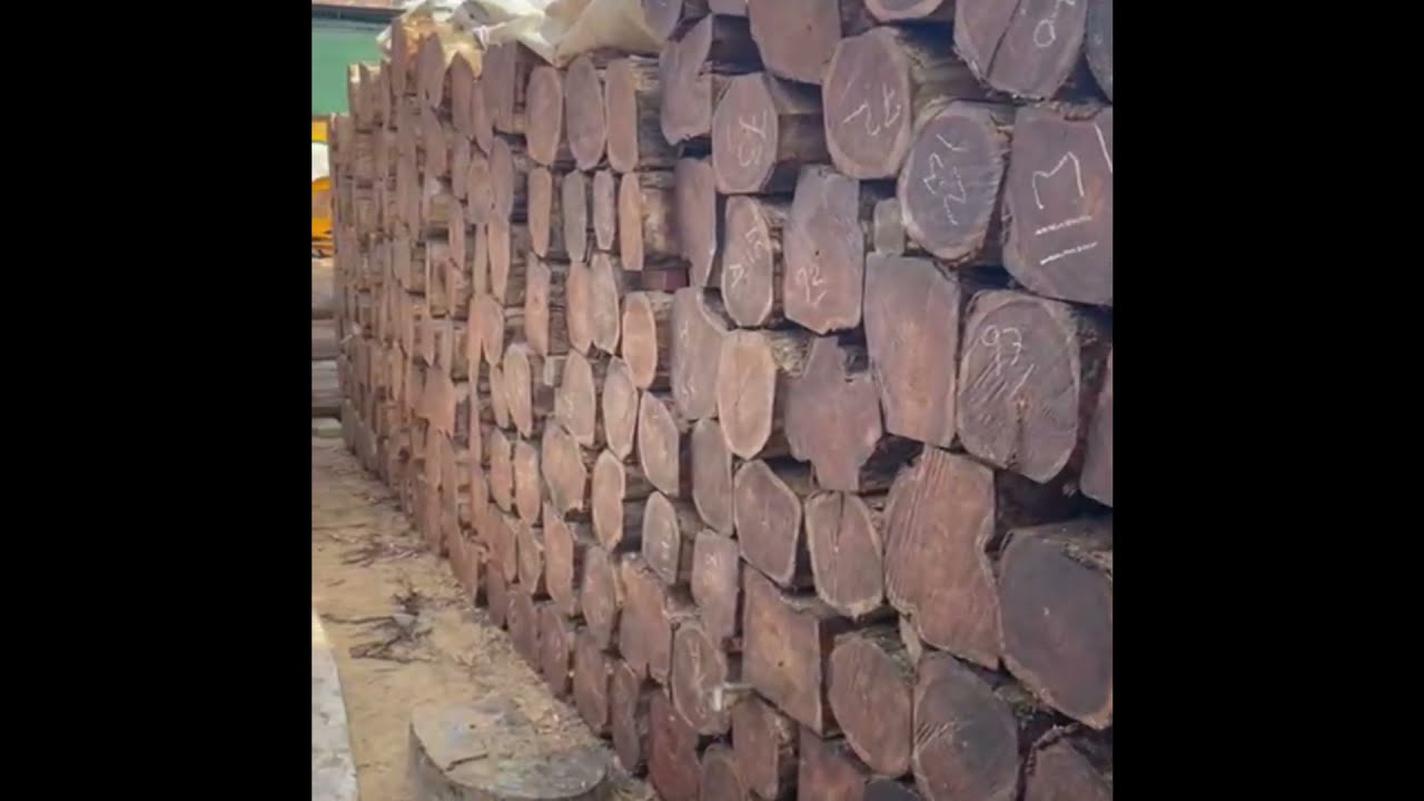 First quality Sagwan Wood/Teak Wood is available for sale - Call us on 📞+919416010839 (Amar Singh).