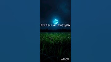 سورة التكاثر للقارئ ماهر المعيقلي #المصحف #راحة_نفسية