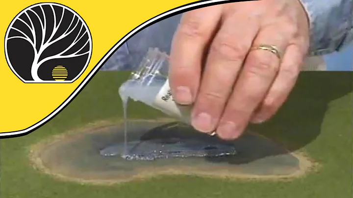 ReadyGrass Water Kit -  Model Scenery | Woodland Scenics