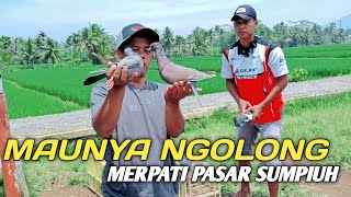 Download Lagu TES TERBANG 11 MERPATI BAHAN SUPER JOS GANDOS MP3