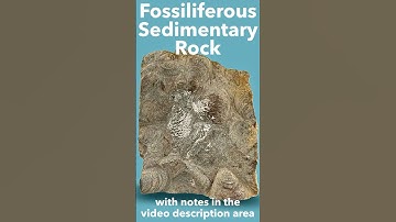 fossielhoudend sedimentair gesteente besproken - opmerkingen staan in het videobeschrijvingsgebied