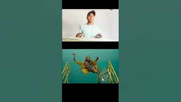 Pushpa 2 Allu Arjun Best Amazing Stunt VFX Sunil official 4m