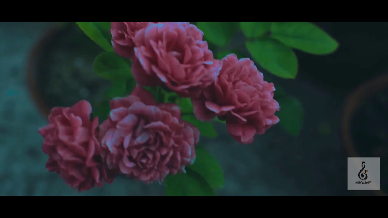 Moddhobitto Chithi (Reprise Version) | Lyrical Video | Bengali Original Composition | THE CLEF