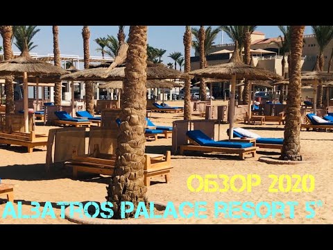 Обзор Albatros Palace