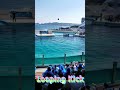 ラビーちゃんルーピングキ～ック🥰 #Shorts #鴨川シーワールド #鴨シー #kamogawaseaworld #killerwhale #orca #シャチ #ルーピングキック