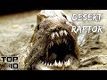 Top 10 Scary Things Found In The Desert