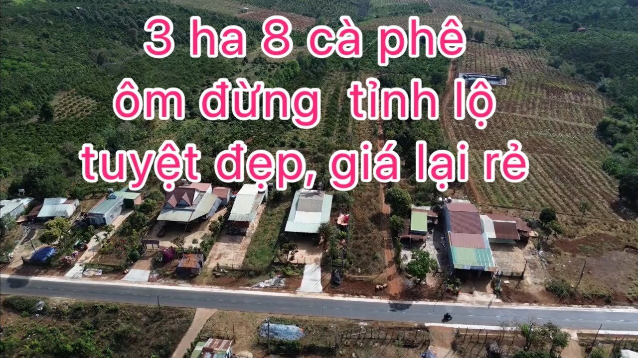 3ha8 cà phê ngay dân cư đông đúc, đất đỏ 3 gian bằng phẳng điện nước đầy đủ giá rẻ