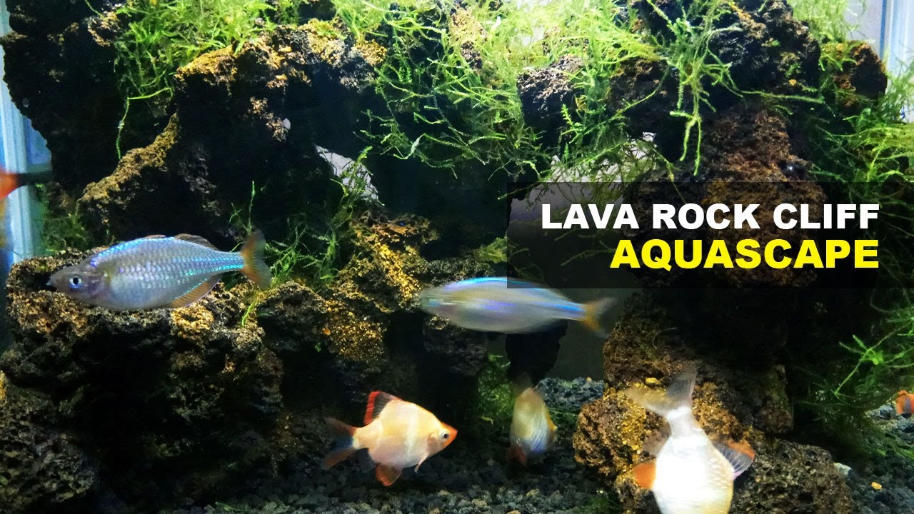 Lava Rock Cliff Aquascape Decoration YouTube