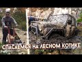 Лесной котик спасает там, где застревает внедорожник