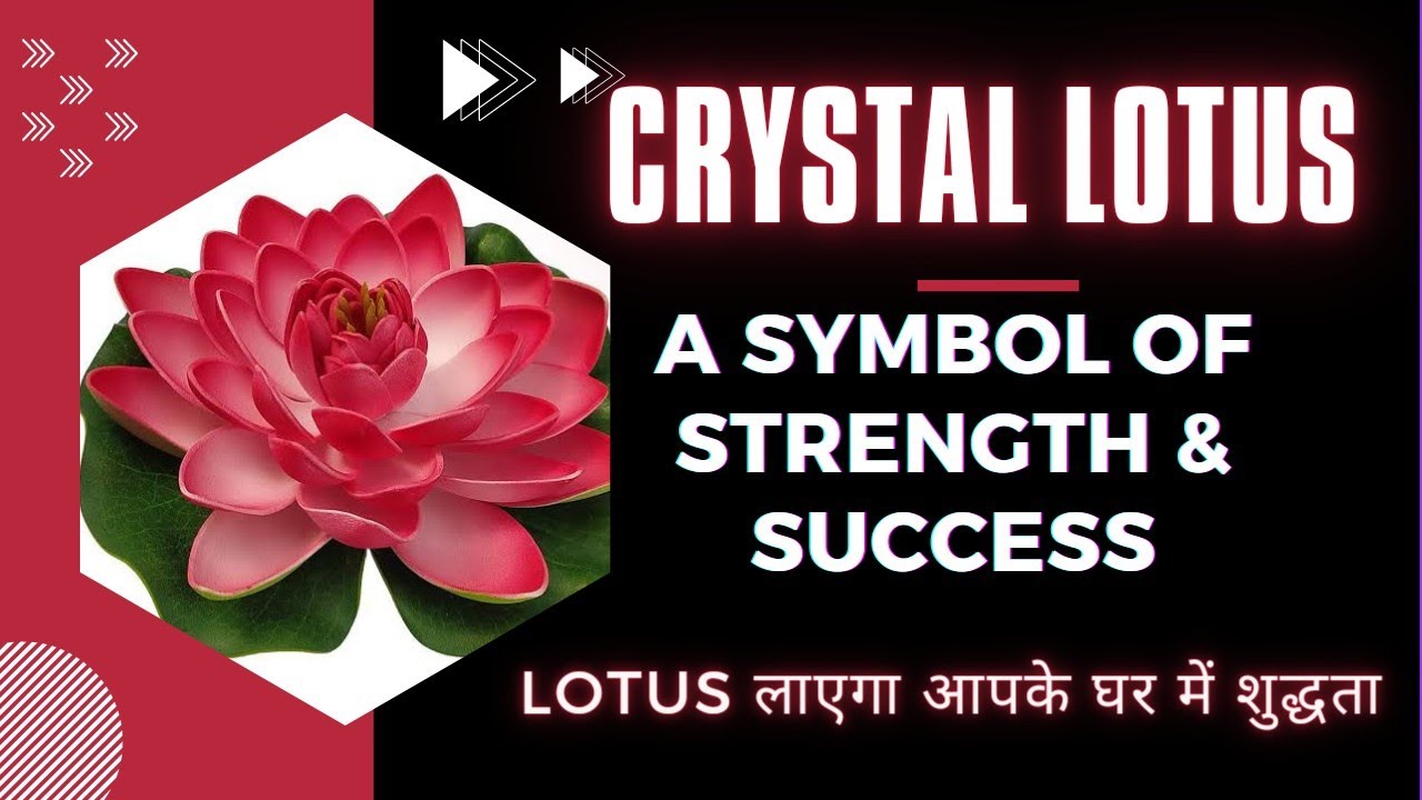 Crystal Lotus | Lotus Vastu | Direction for Lotus | Crystal Lotus Benefits in Vastu for home & work