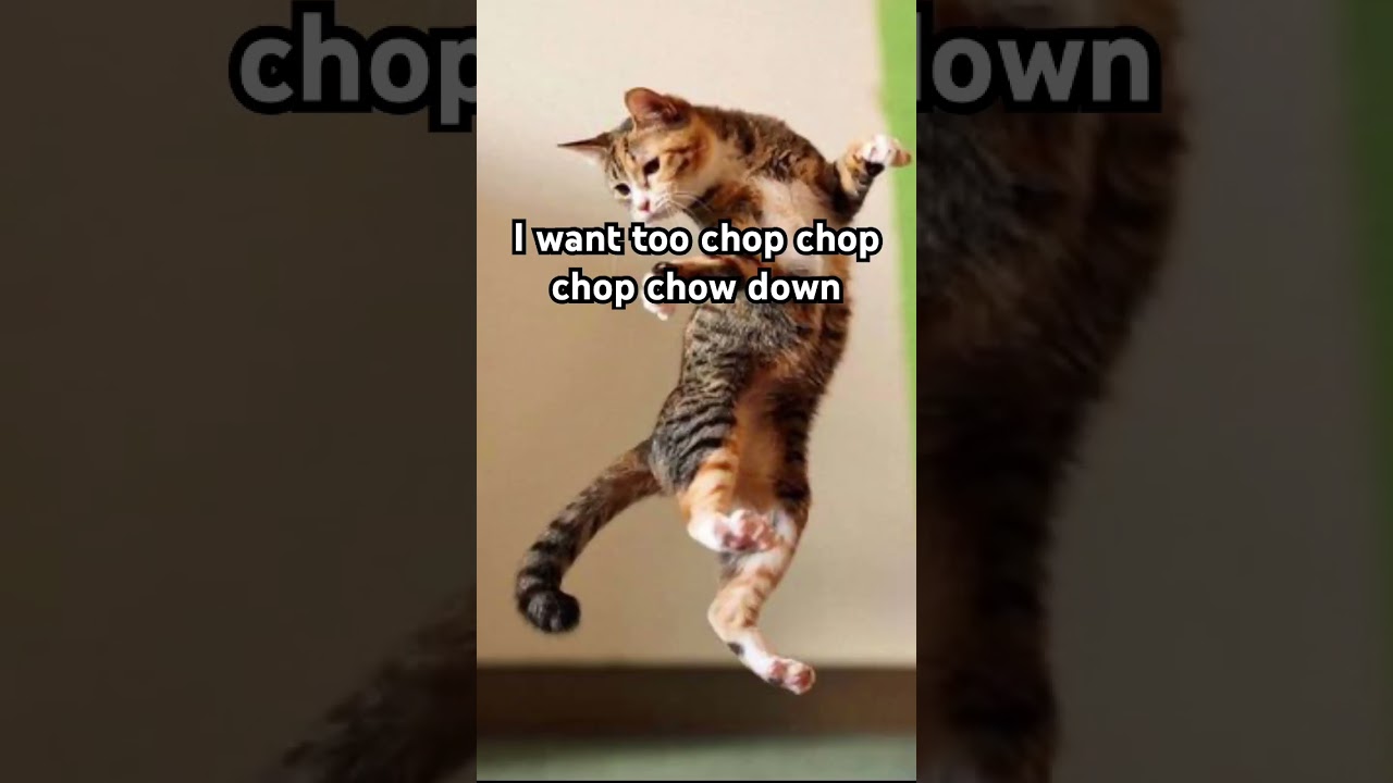 I want too be neenja 