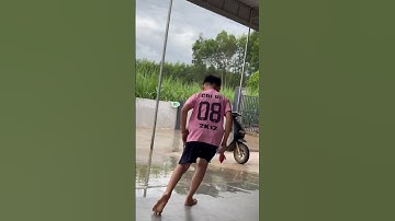 Tạp Hóa Tippi T22 | Áo Hồng Bị Cọp Kè Nhập - Tippi Vips #tippitv