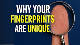 Why Your Fingerprints Are 100% Unique (Even If You Have a Twin!) 🔍🧬