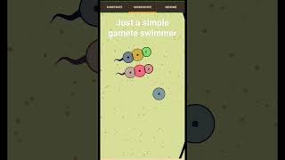 a simple gamete swimmer - cell lab #celllab