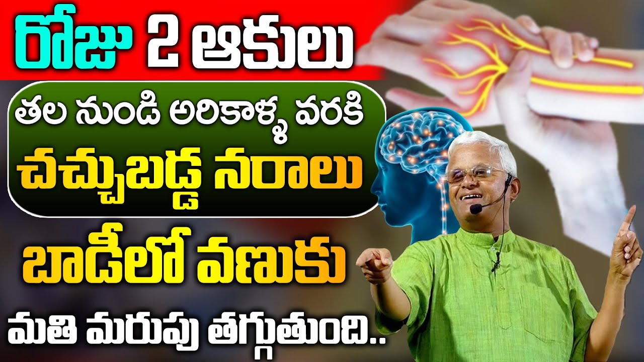 శరీరంలో ఉన్న నరాలన్నీ ఉక్కులాగా అయిపోతాయి | Tips For Nerves Strength | Khadar Vali | SumanTv