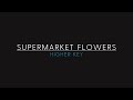 Ed Sheeran - Supermarket Flowers (Higher Key) Piano Karaoke Mp3 Song