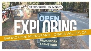 Exploring Grass Valley's Best Kept Secret: Broadfork Farmstand