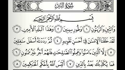 سورة التين القارئ ابراهيم الدوسري برواية ورش عن نافع