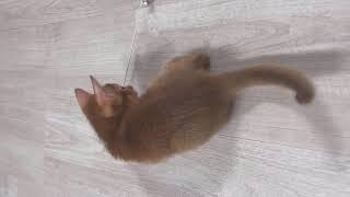 로또 1214회자동 두번째 9장