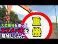 大型重機を使ってスズメバチを駆除してみた