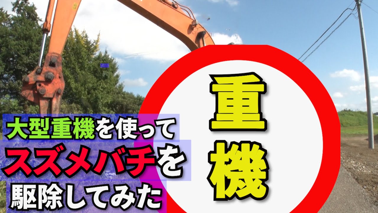大型重機を使ってスズメバチを駆除してみた