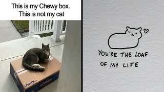 Hilarious And Relatable Memes Dedicated To All Things Feline