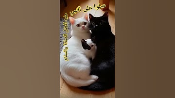 إسمع سورةإلاخلاص10👉ثوان ثلاث مرات تساوي ختم القرآن الكريم ،،، لاإله لاأنت سبحانك إني كنت من الظالمين