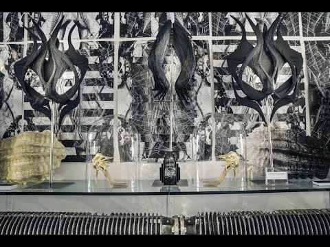 Jorge Ayala Exhibition