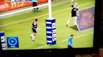 Touch judge runs into post!