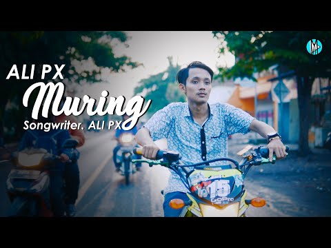 Video Muring